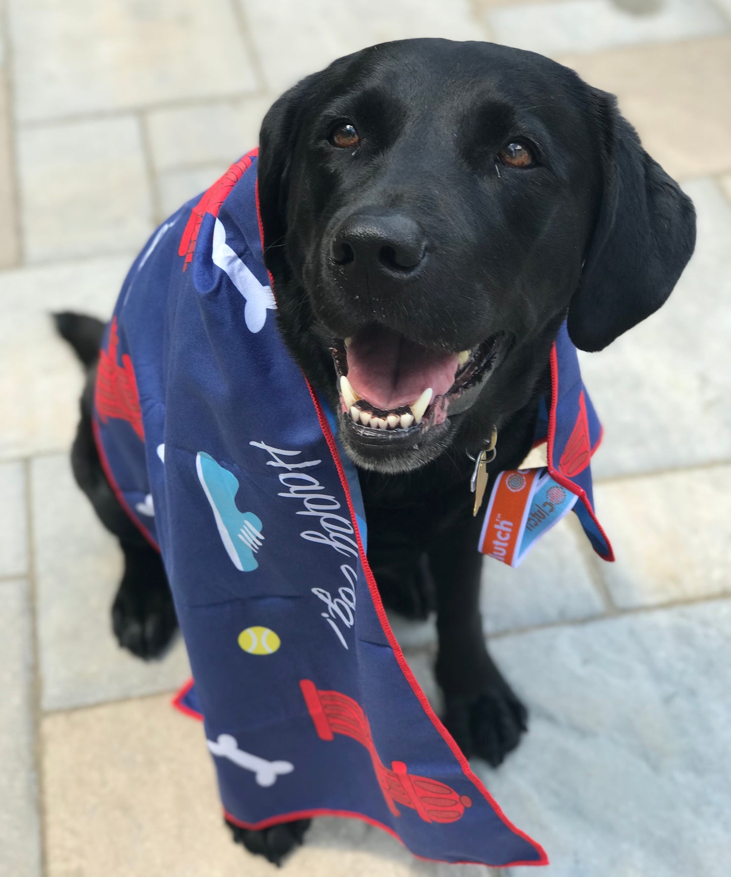 Dog Towel, Happy Dog