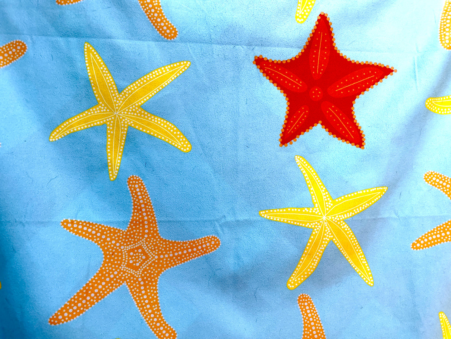 All Star Starfish